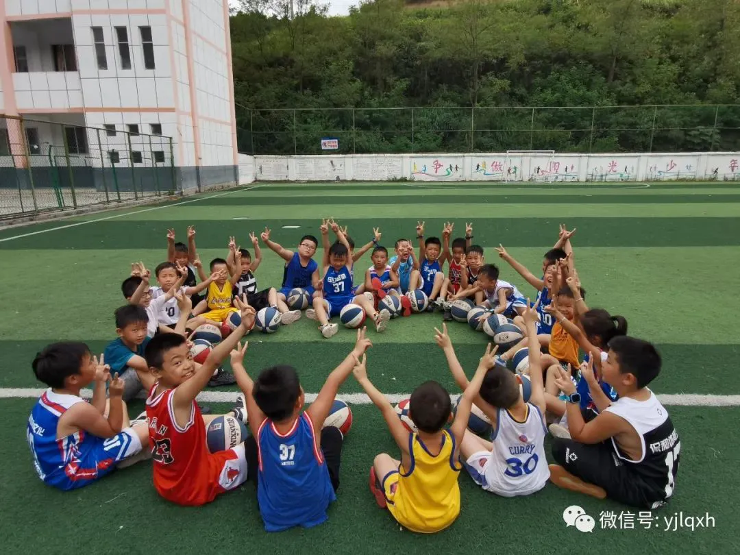 青少年篮球训练的影响因素及对策研究_2